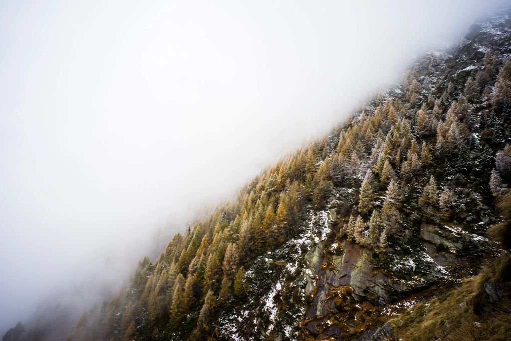 The mountains behind the property