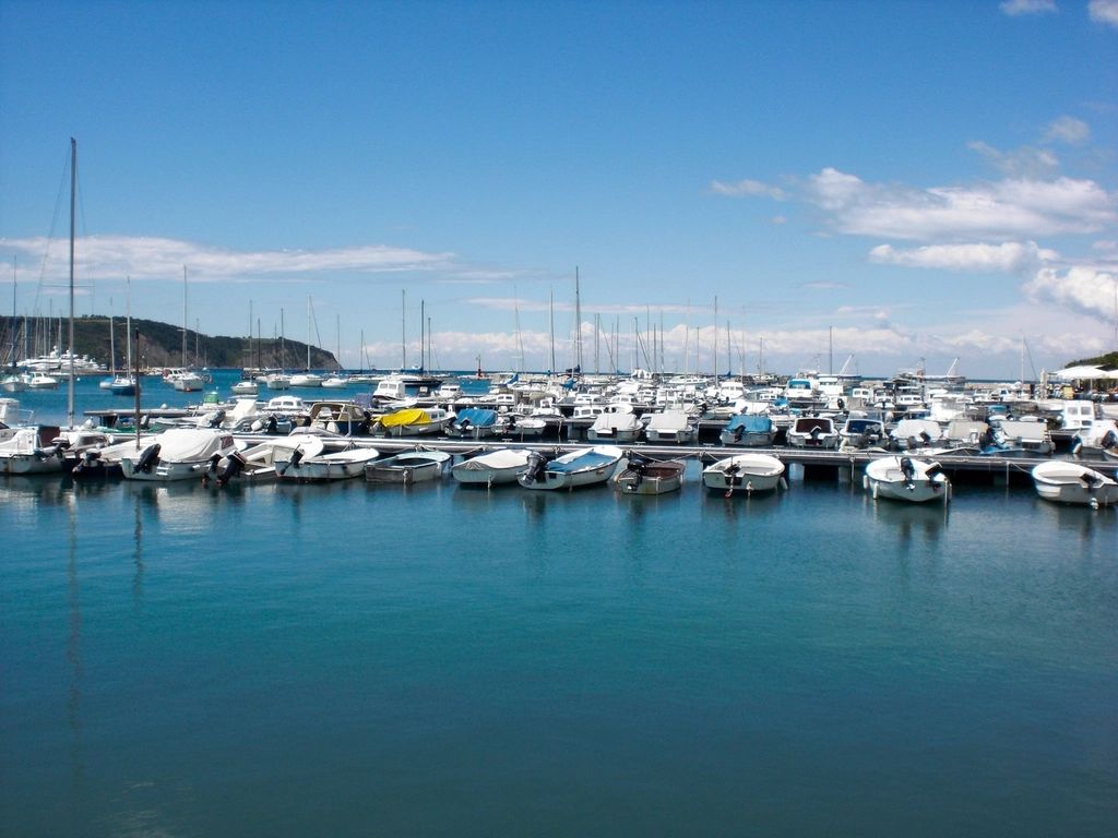Boats moored at the harbour